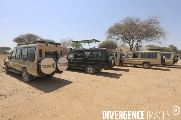 Parc national du tarangire/tanzanie