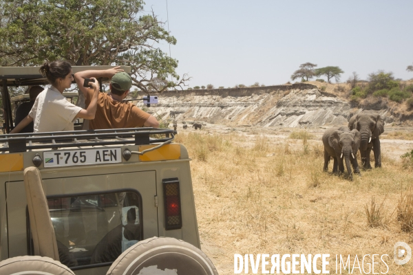 Parc national du tarangire/tanzanie