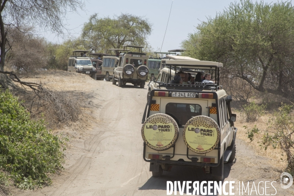 Parc national du tarangire/tanzanie