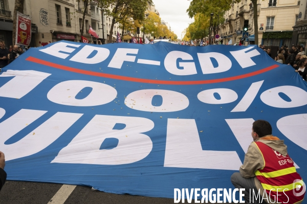 Marche contre la vie chère. Paris