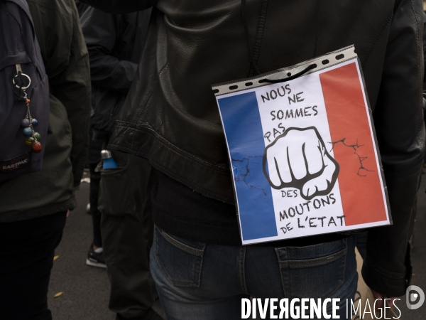 Marche contre la vie chère. Paris