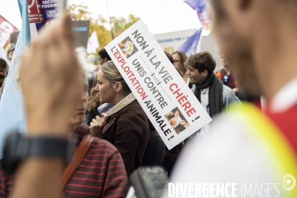 Marche contre la vie chère et l inaction climatique