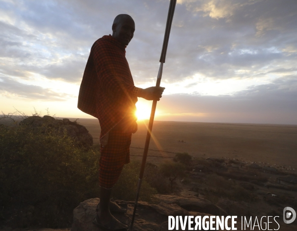 Maasai tanzanie