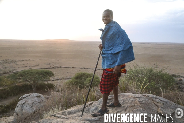 Maasai tanzanie