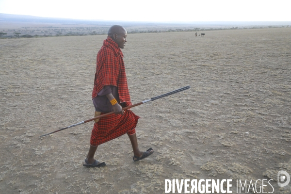 Maasai tanzanie