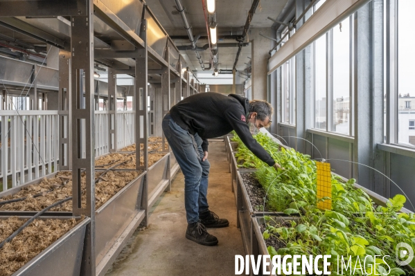 Cité Maraîchère de Romainville, en Seine-Saint-Denis