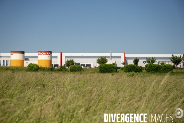 A Château-Thierry, Jungle, bientôt La plus grande ferme verticale de France