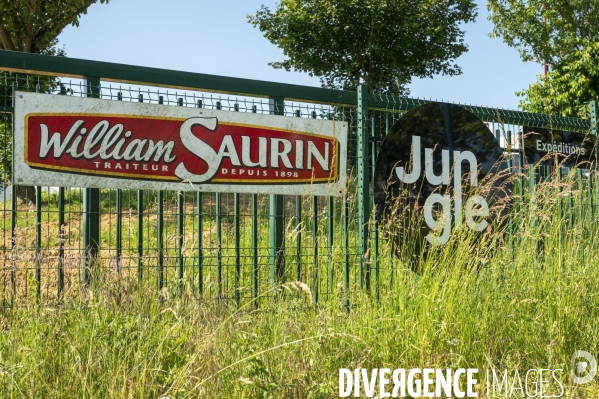 A Château-Thierry, Jungle, bientôt La plus grande ferme verticale de France