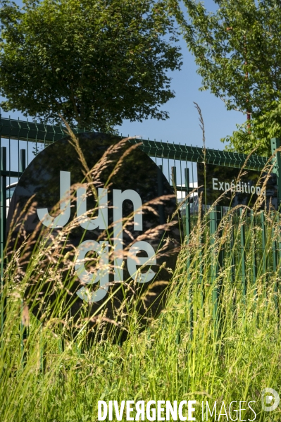 A Château-Thierry, Jungle, bientôt La plus grande ferme verticale de France