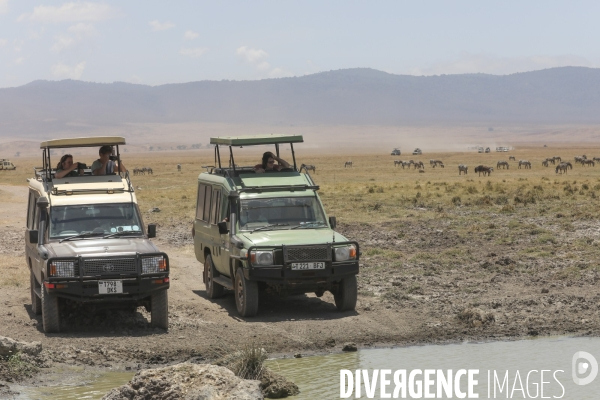 Parc du ngorongoro/tanzanie