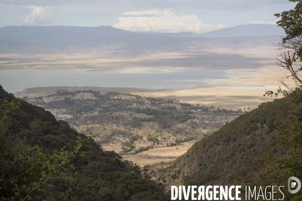 Parc du ngorongoro/tanzanie