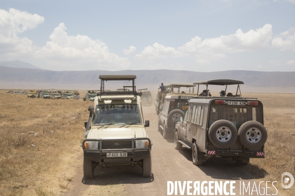 Parc du ngorongoro/tanzanie