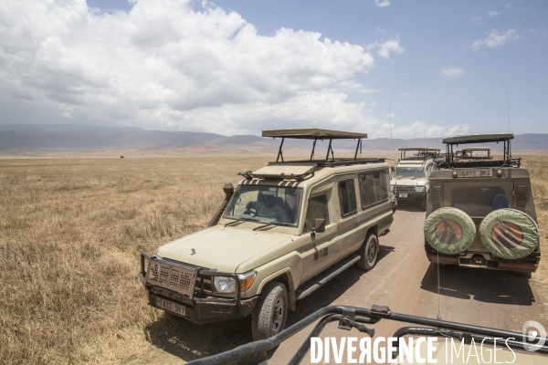 Parc du ngorongoro/tanzanie