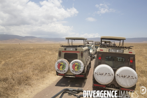 Parc du ngorongoro/tanzanie