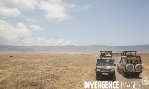 Parc du ngorongoro/tanzanie