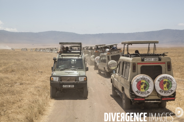 Parc du ngorongoro/tanzanie