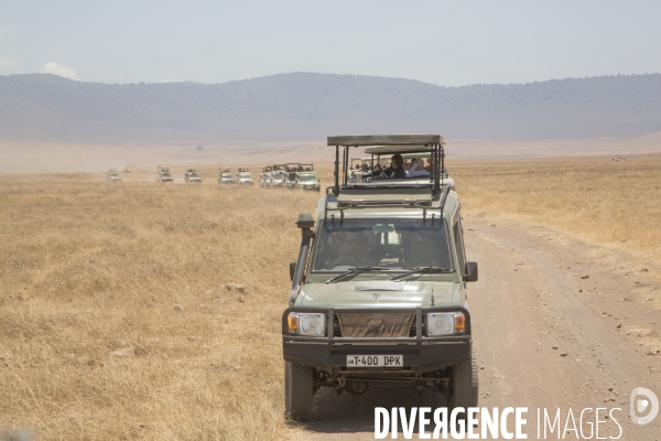 Parc du ngorongoro/tanzanie