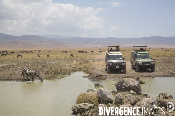 Parc du ngorongoro/tanzanie