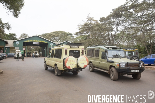 Parc du ngorongoro/tanzanie