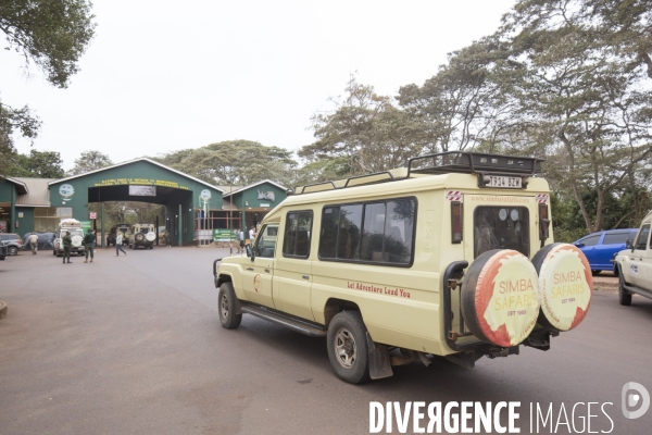 Parc du ngorongoro/tanzanie