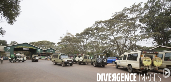 Parc du ngorongoro/tanzanie