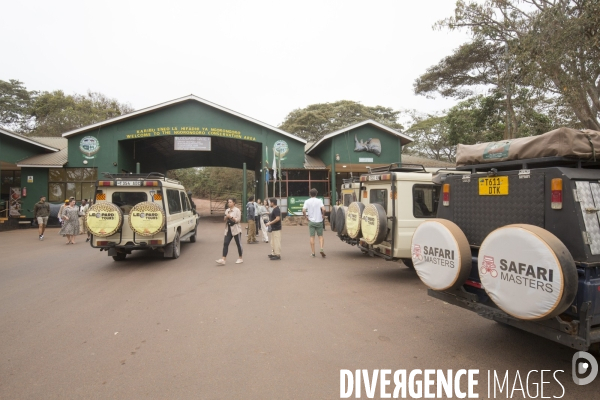 Parc du ngorongoro/tanzanie