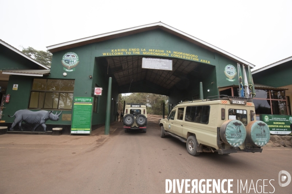 Parc du ngorongoro/tanzanie