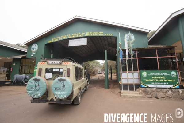Parc du ngorongoro/tanzanie