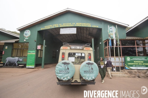 Parc du ngorongoro/tanzanie