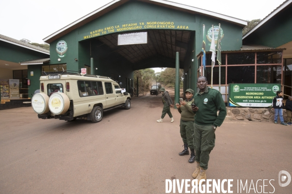 Parc du ngorongoro/tanzanie