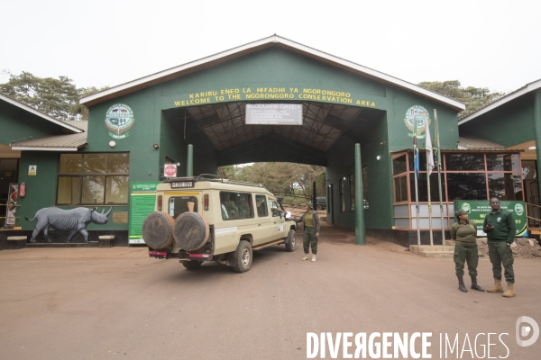 Parc du ngorongoro/tanzanie