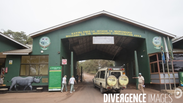 Parc du ngorongoro/tanzanie