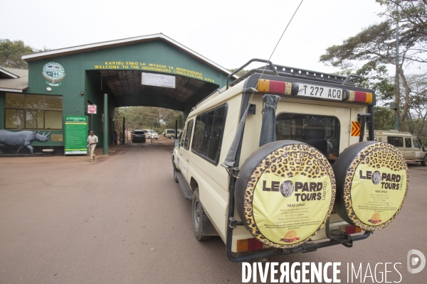 Parc du ngorongoro/tanzanie