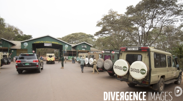 Parc du ngorongoro/tanzanie
