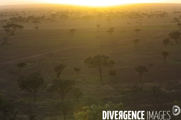 Grumeti game reserve