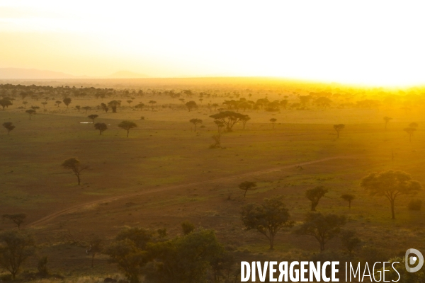 Grumeti game reserve