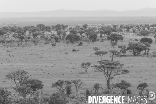 Grumeti game reserve