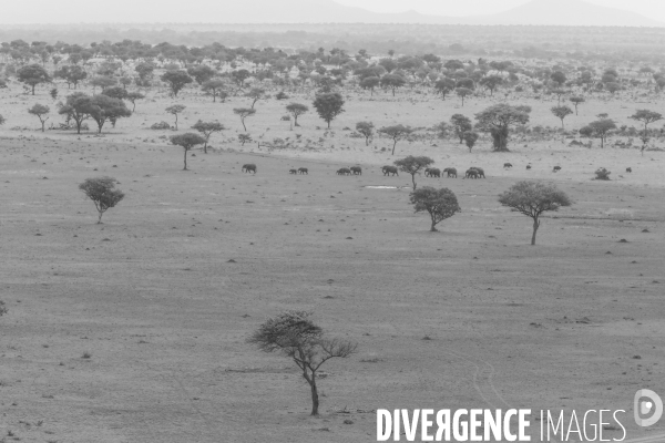 Grumeti game reserve