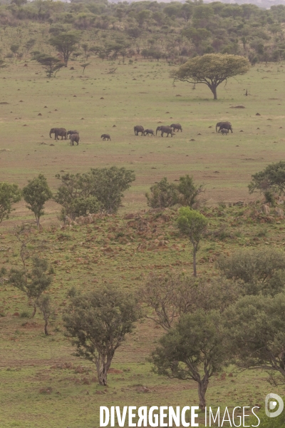 Grumeti game reserve