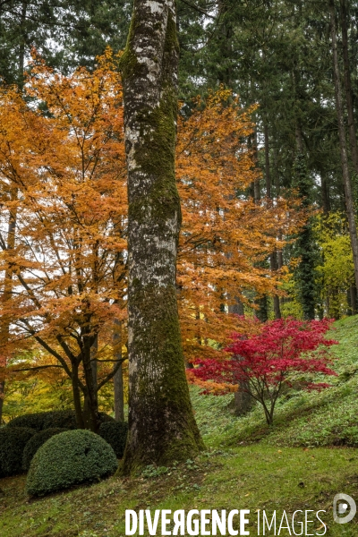 Les quatre saisons au Parc Oriental de Maulévrier.