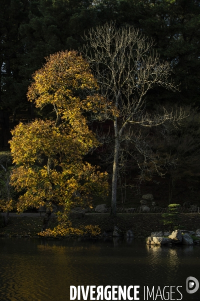 Les quatre saisons au Parc Oriental de Maulévrier.