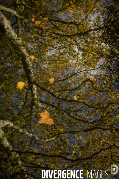 Les quatre saisons au Parc Oriental de Maulévrier.