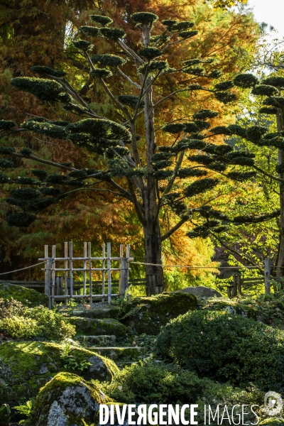 Les quatre saisons au Parc Oriental de Maulévrier.