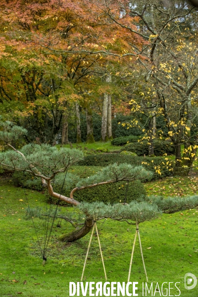 Les quatre saisons au Parc Oriental de Maulévrier.