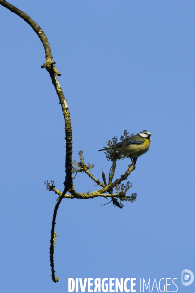 Les quatre saisons au Parc Oriental de Maulévrier.