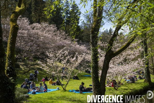 Les quatre saisons au Parc Oriental de Maulévrier.