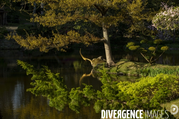 Les quatre saisons au Parc Oriental de Maulévrier.