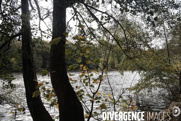 Foret de malmaison