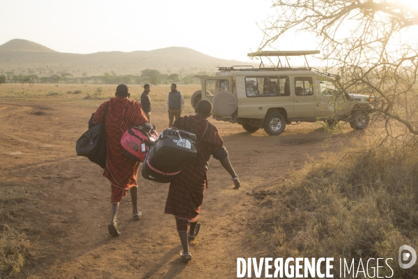 Des massais portent le sac des touristes en safari