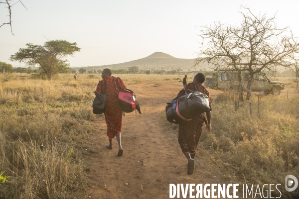 Des massais portent le sac des touristes en safari